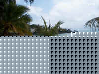 Im000006.jpg (37651 bytes)