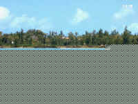 Im000033.jpg (32554 bytes)