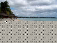 Im000955.jpg (31692 bytes)