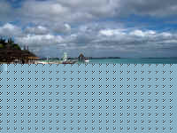 Im000967.jpg (32289 bytes)